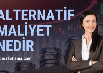 Alternatif Maliyet Nedir