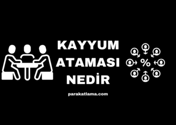 Kayyum Nedir ve Kayyum Ataması Nasıl Yapılır