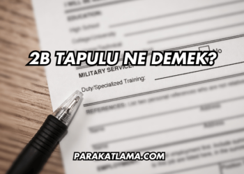 2B Tapulu Ne Demek?