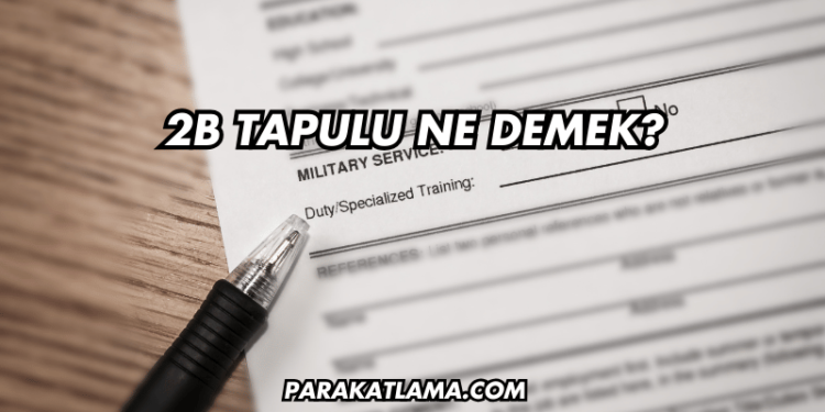 2B Tapulu Ne Demek?