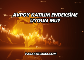 AVPGY Katılım Endeksine Uygun mu?