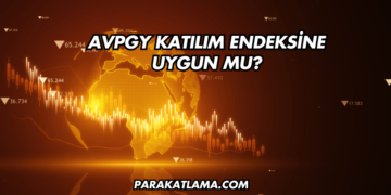 AVPGY Katılım Endeksine Uygun mu?