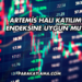 Artemis Halı Katılım Endeksine Uygun mu?