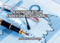 Aselsan Katılım Endeksine Uygun mu?