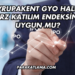 Avrupakent GYO Halka Arz Katılım Endeksine Uygun mu?