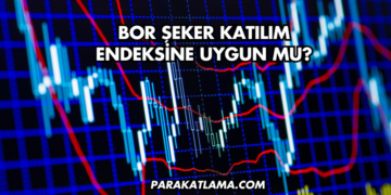 Bor Şeker Katılım Endeksine Uygun mu?