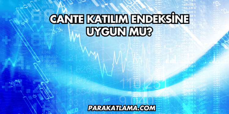 CANTE Katılım Endeksine Uygun mu?