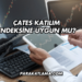 ÇATES Katılım Endeksine Uygun mu?