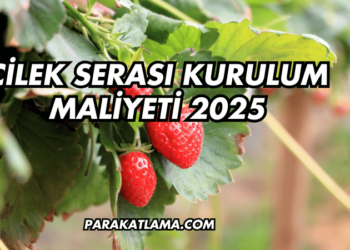 Çilek Serası Kurulum Maliyeti 2025