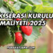 Çilek Serası Kurulum Maliyeti 2025