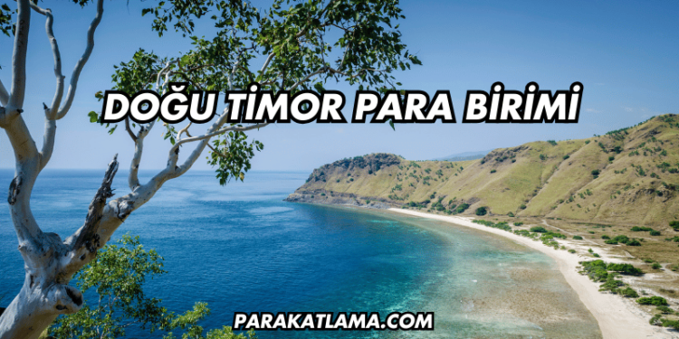 Doğu Timor Para Birimi