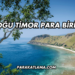 Doğu Timor Para Birimi