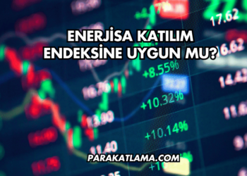Enerjisa Katılım Endeksine Uygun mu?