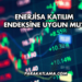 Enerjisa Katılım Endeksine Uygun mu?