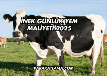İnek Günlük Yem Maliyeti 2025