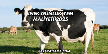 İnek Günlük Yem Maliyeti 2025