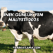 İnek Günlük Yem Maliyeti 2025