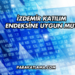 İzdemir Katılım Endeksine Uygun mu?