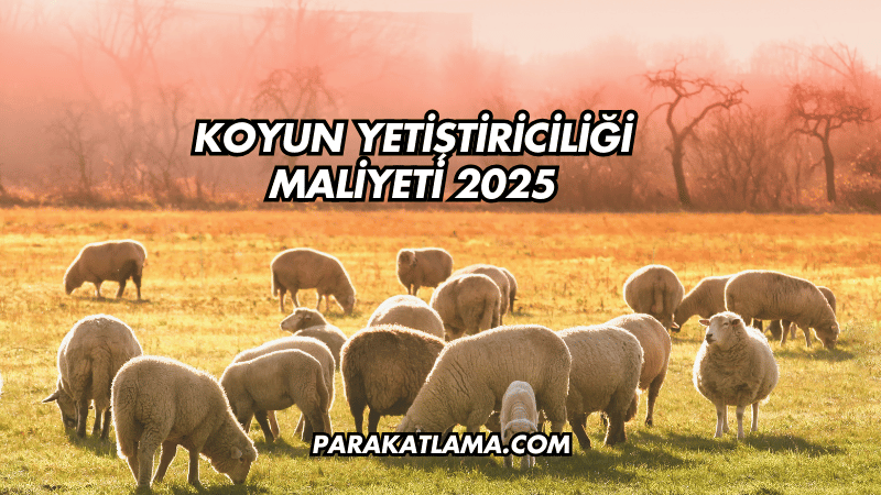 Koyun Yetiştiriciliği Maliyeti 2025