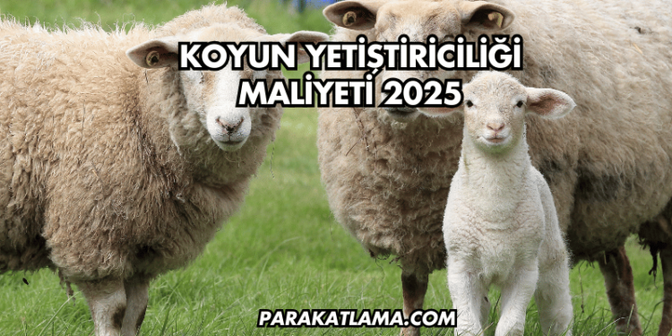 Koyun Yetiştiriciliği Maliyeti 2025