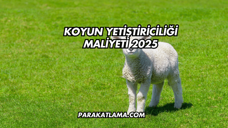 Koyun Yetiştiriciliği Maliyeti 2025