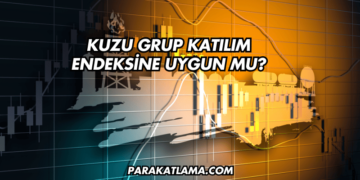 Kuzu Grup Katılım Endeksine Uygun mu?