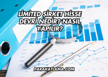 Limited Şirket Hisse Devri Nedir? Nasıl Yapılır?