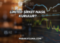 Limited Şirket Nasıl Kurulur?