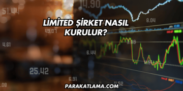 Limited Şirket Nasıl Kurulur?