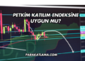 Petkim Katılım Endeksine Uygun mu?
