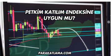 Petkim Katılım Endeksine Uygun mu?