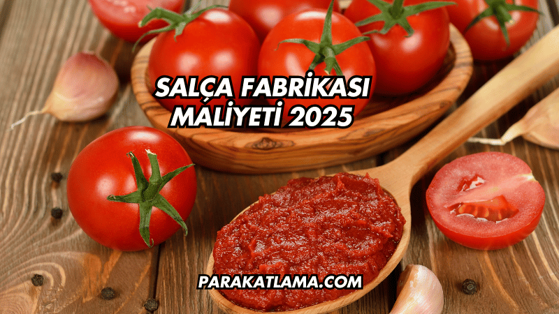 Salça Fabrikası Maliyeti 2025