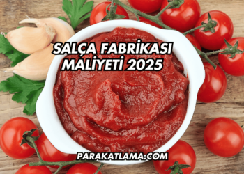 Salça Fabrikası Maliyeti 2025