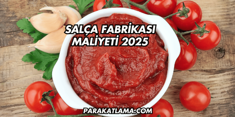 Salça Fabrikası Maliyeti 2025