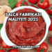 Salça Fabrikası Maliyeti 2025