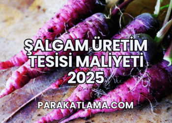 Şalgam Üretim Tesisi Maliyeti 2025