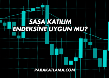 Sasa Katılım Endeksine Uygun mu?