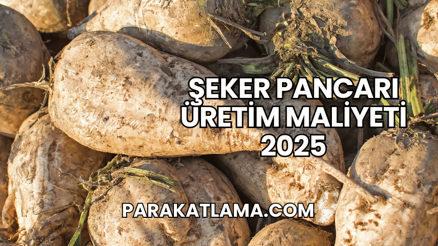 Şeker Pancarı Üretim Maliyeti 2025