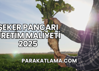 Şeker Pancarı Üretim Maliyeti 2025