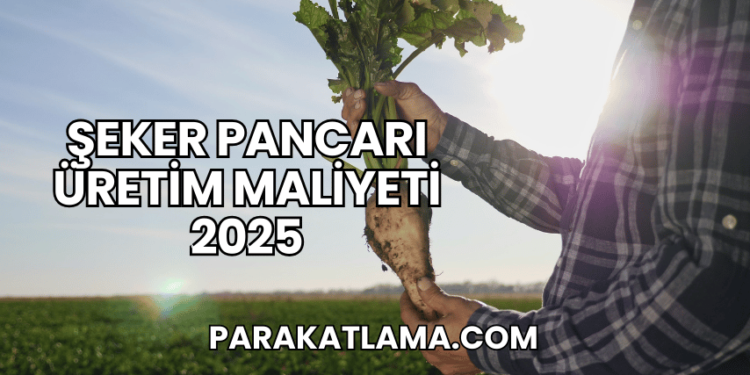 Şeker Pancarı Üretim Maliyeti 2025