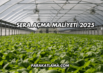 Sera Açma Maliyeti 2025