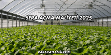 Sera Açma Maliyeti 2025
