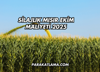 Silajlık Mısır Ekim Maliyeti 2025