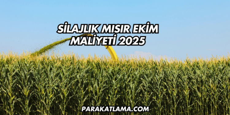 Silajlık Mısır Ekim Maliyeti 2025