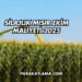 Silajlık Mısır Ekim Maliyeti 2025