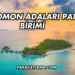 Solomon Adaları Para Birimi