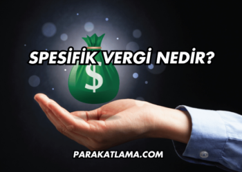 Spesifik Vergi Nedir?