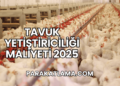 Tavuk Yetiştiriciliği Maliyeti 2025
