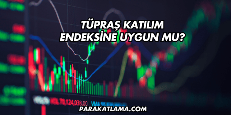 Tüpraş Katılım Endeksine Uygun mu?