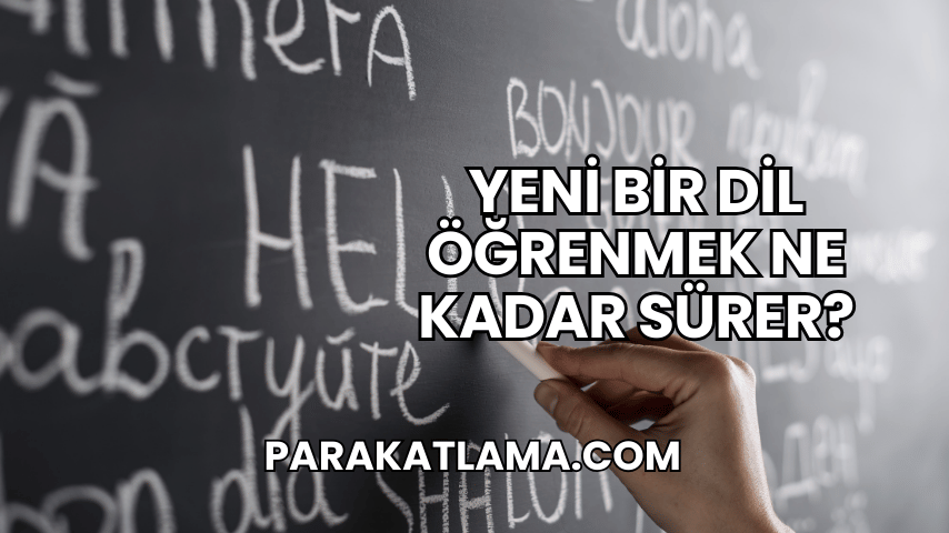 Yeni Bir Dil Öğrenmek Ne Kadar Sürer?